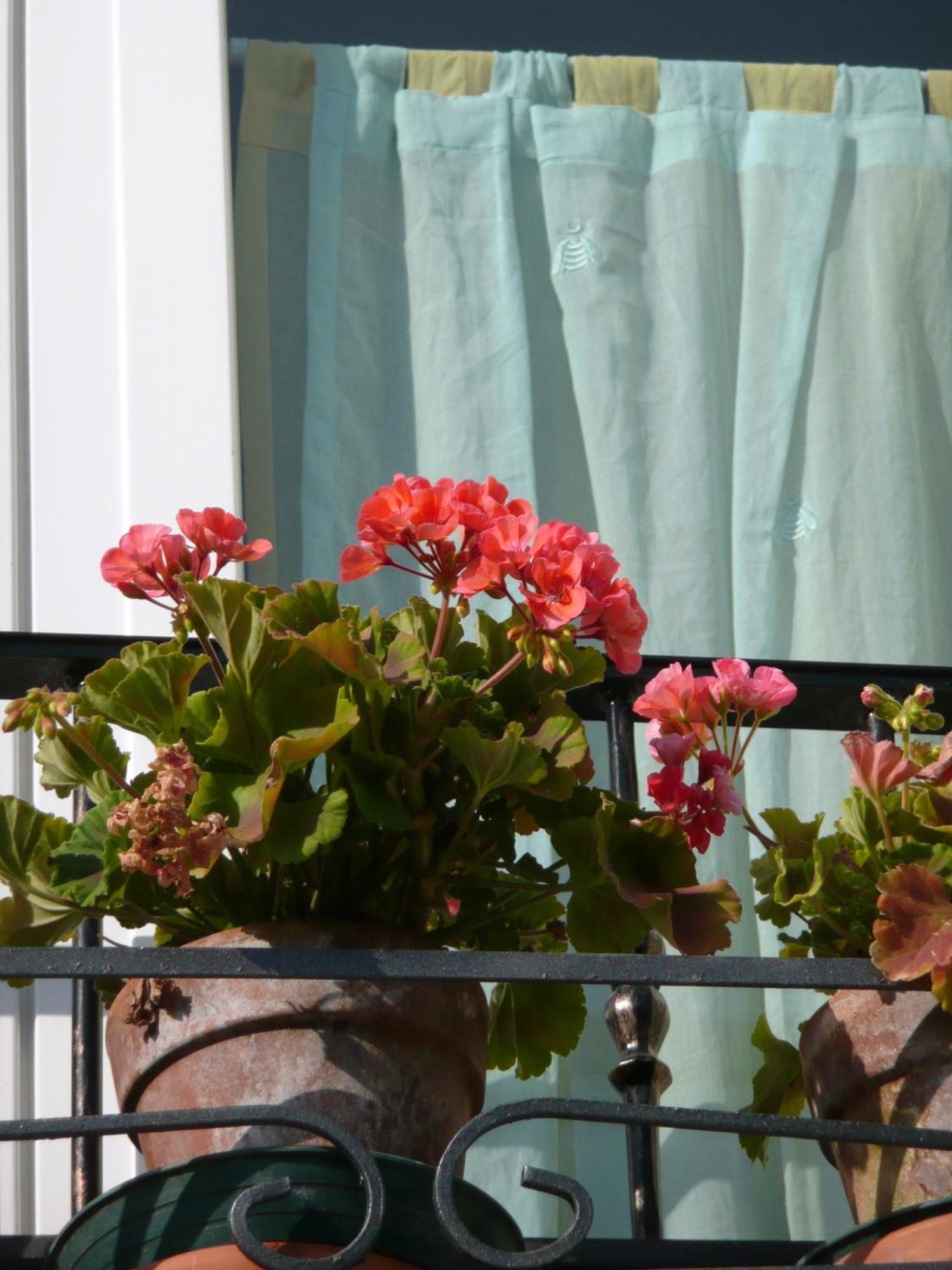 Agriturismo Campoverde Camponogara 外观 照片