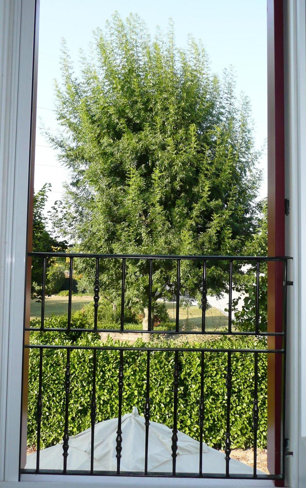 Agriturismo Campoverde Camponogara 外观 照片